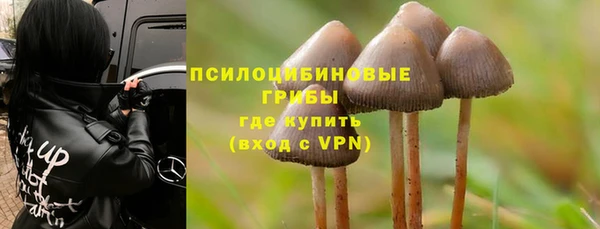 гидропоника Магас
