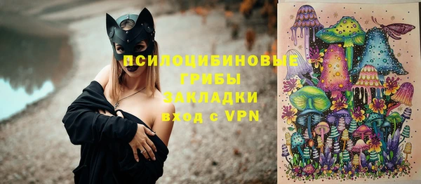 ПСИЛОЦИБИНОВЫЕ ГРИБЫ Майский