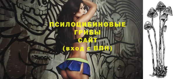 стаф Магадан